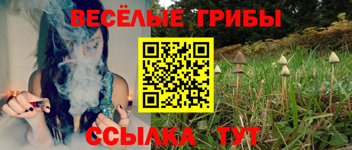 Михайловка  Галлюциногенные грибы мицелий  Вход с VPN  Псилоцибиновые грибы мицелий 