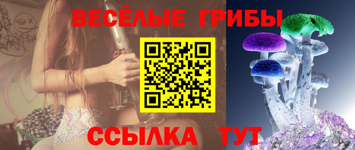 Псилоцибиновые грибы мицелий Михайловка